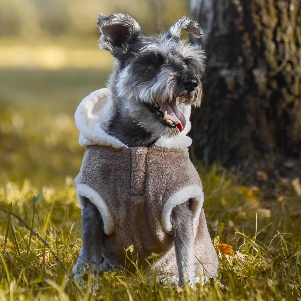 szary brązowy (2).jpg